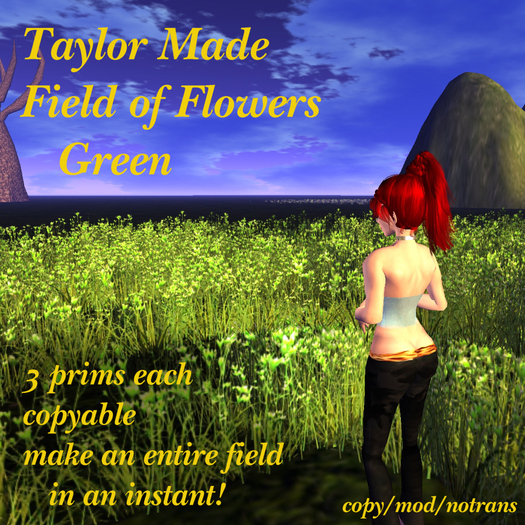 Field of Flowers - Green