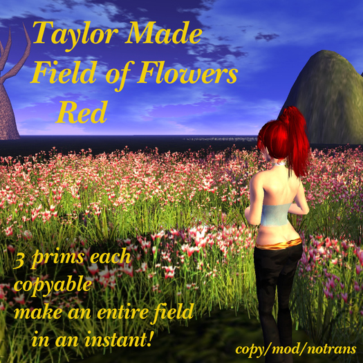 Field of Flowers - Red