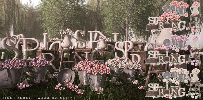 DISORDERLY. / Wood be Spring / FATPACK