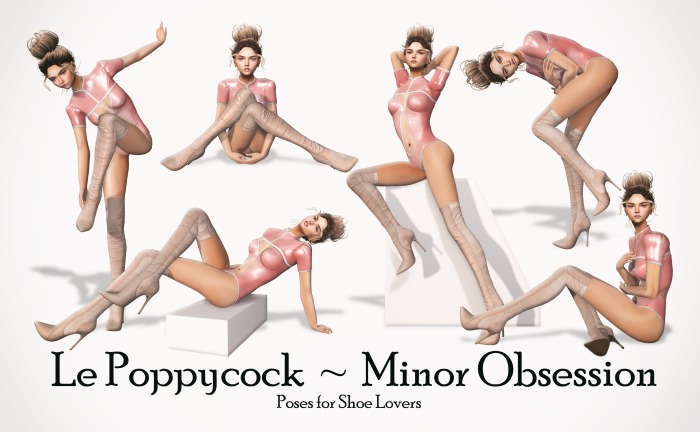 Le Poppycock *Minor Obsession* B