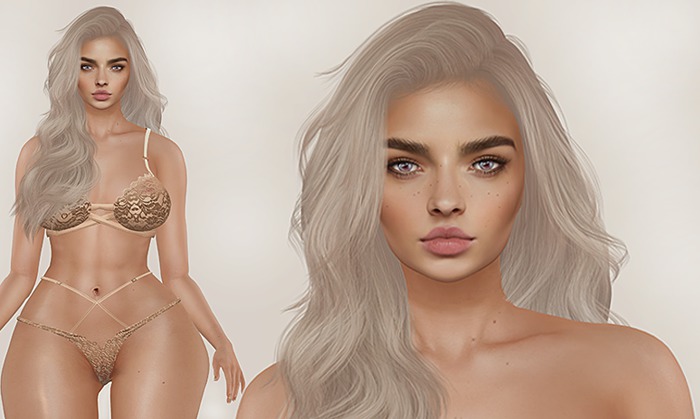 Pachy - Genus Baby Face - Shape Grace