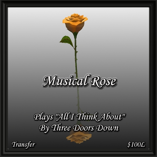 Musical Rose - All I Think About 