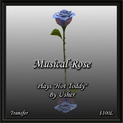 Musical Rose - Hot Toddy 