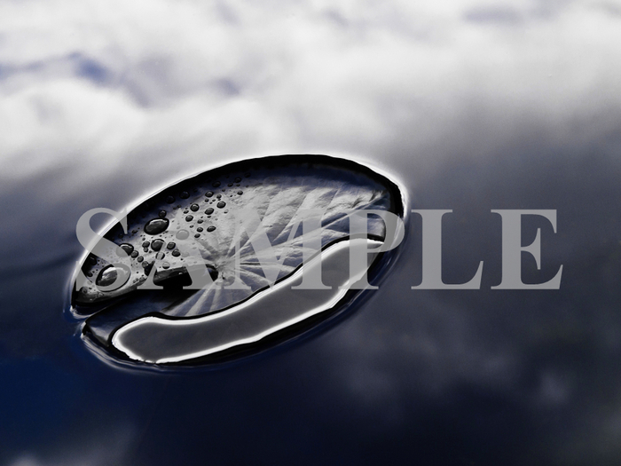 Lilypad