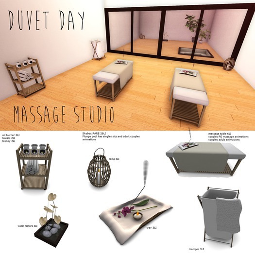 [DD] Massage Studio Skybox MT RARE