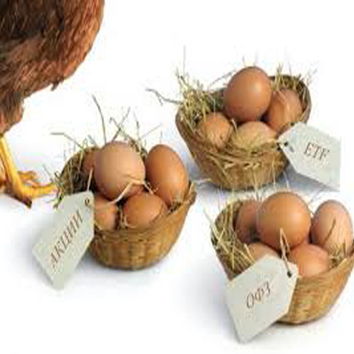 DFS Egg Basket