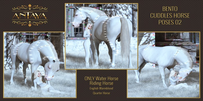 :: ANTAYA :: WHRH Bento cuddles horse poses v2