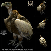 GD MESH FULL PERM ANIMAL GOLDEN VULTURE