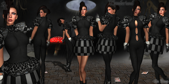 *DE Designs* Wonderland