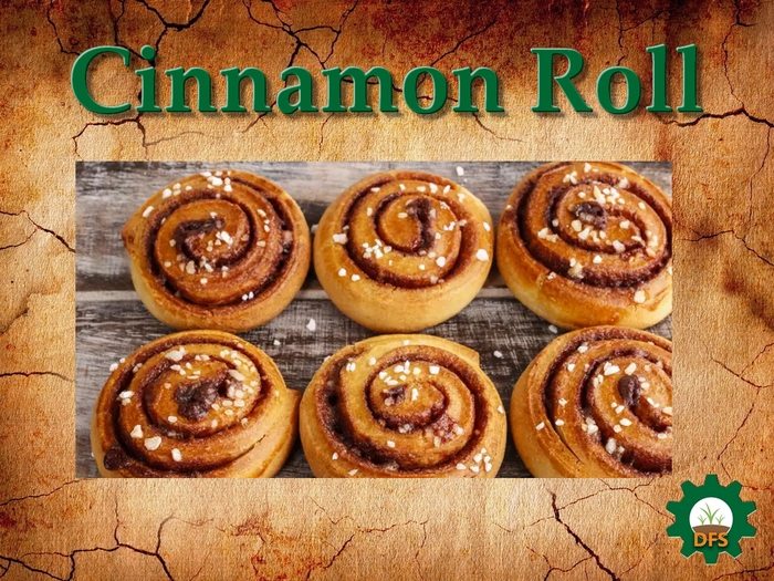 DFS Texture Cinnamon Roll