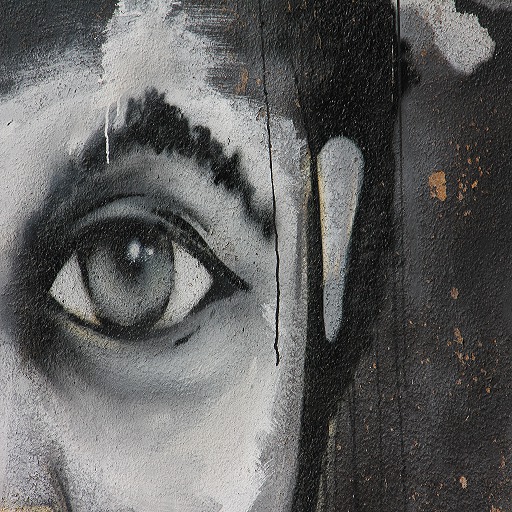 Black & White Side Eye Canvas