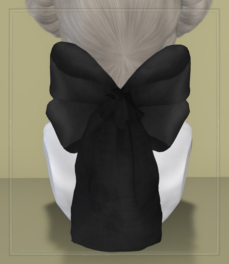 LL - Coiffure addon - Coiffure sac 2