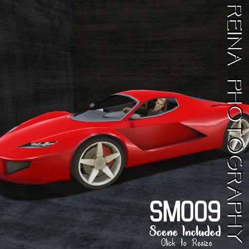 {RP} SM009 *