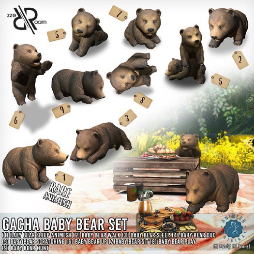 [Rezz Room] Box Baby Bear Scratching