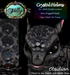 Folly noodlecrystalhelmad obsidian