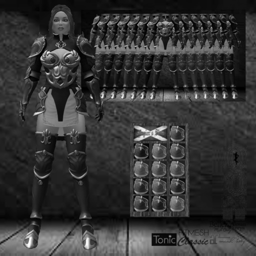 Shy DEMO Fantasy Realm Armour Outfit Texture Change MP Box