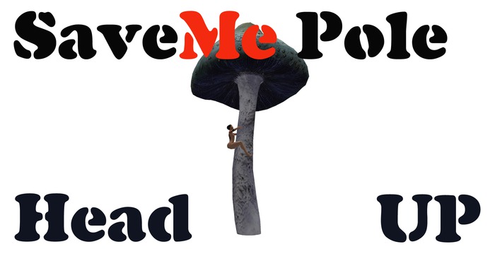 SaveMe Pole