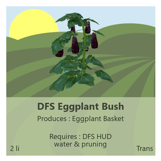 DFS Eggplant Bush 
