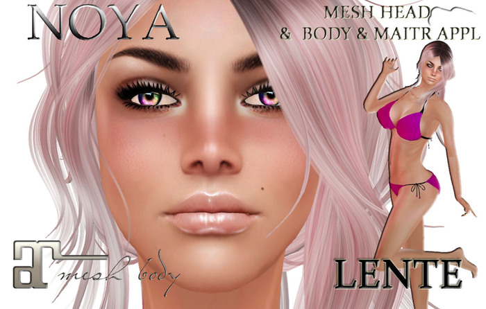 **NOYA** LENTE Shape Only Copy & Modify