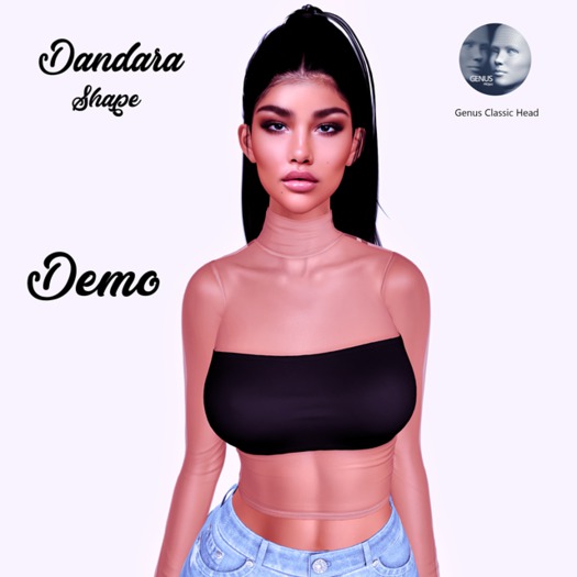 Dandara Shape Genus Project Demo