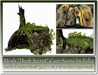 Mesh dark secret cave scene by felix 34 li 18x18m size co mo