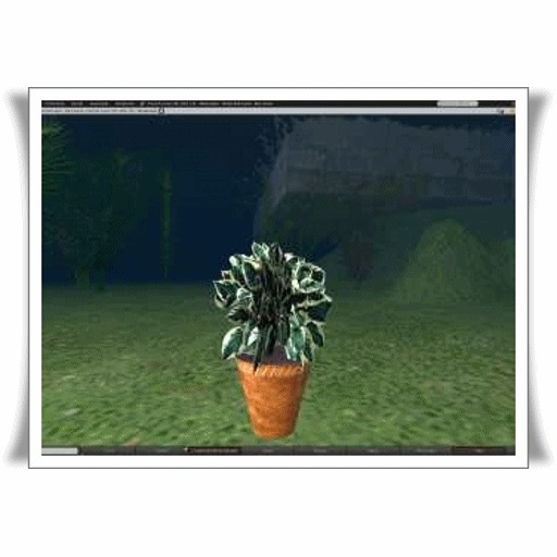 P. Flanagan Potted Plant