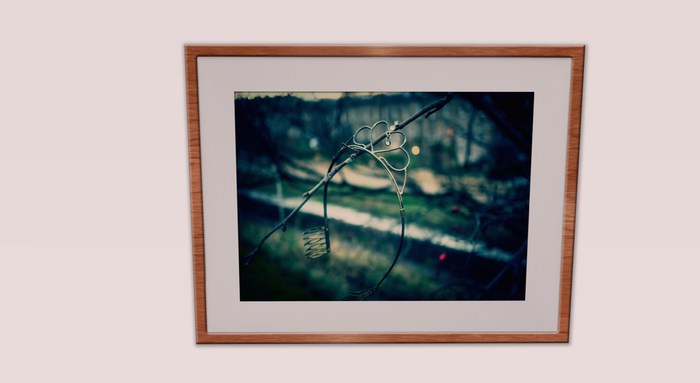 Rusted, Busted Princess - 2 Cherry Frames