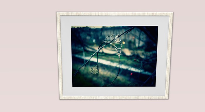 Rusted, Busted Princess - 2 White Frames