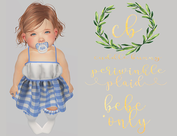 [C.B] Periwinkle Plaid