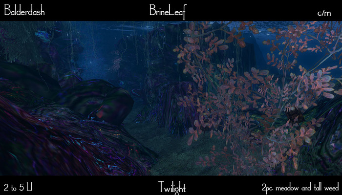 Balderdash - Brine Leaf - Twilight (Wear/add to open!)