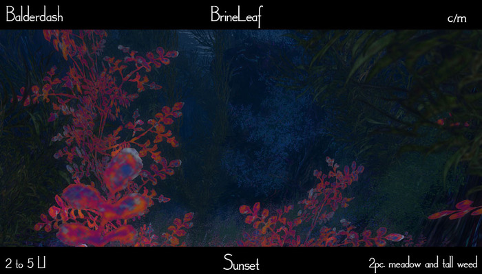 Balderdash - Brine Leaf - Sunset (Wear/add to open!)