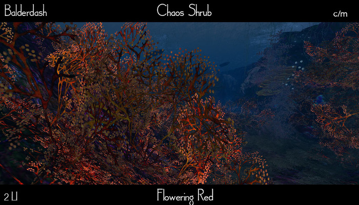 Balderdash -Junction Algae - Chaos shrub - Red -Flowering