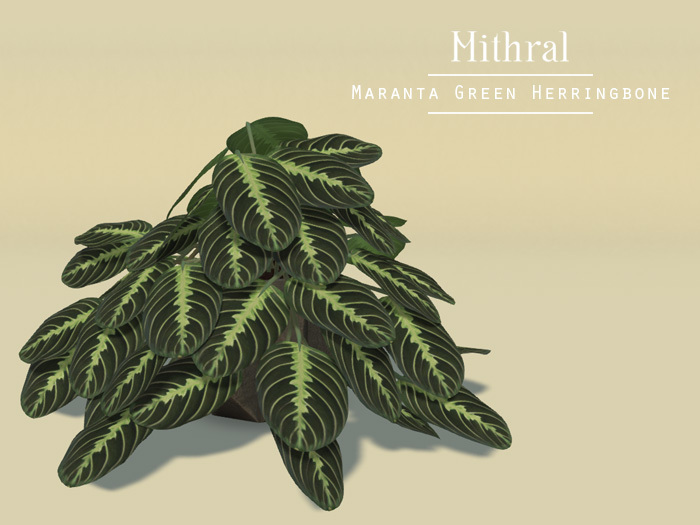Mithral * Maranta Green Herringbone Fat Pack