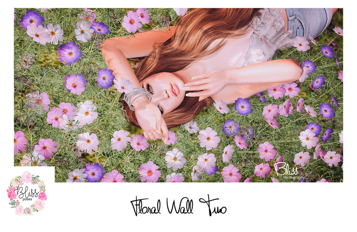 {BLISS} Poses Boxed - Floral Wall Two
