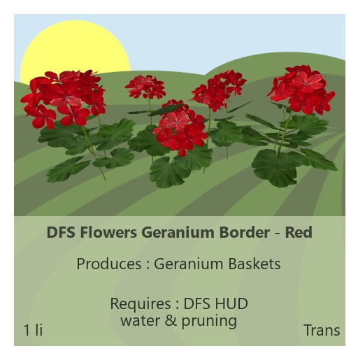 DFS Flowers Geranium Border - Red