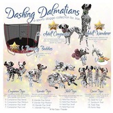 JIAN Dashing Dalmatians 12. Held Pup Dense BOX