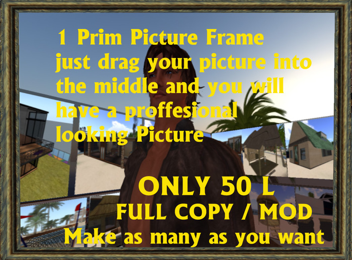 Master Picture Frame 1 Prim (Boxed)