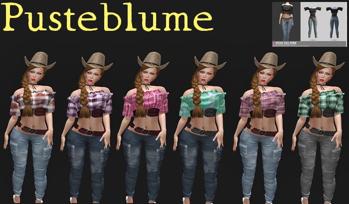 [Pusteblume] Texture for [WY]Full Perm 203   Set 2