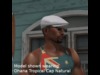 Ohana tropical cap models pics tag