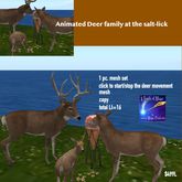 Animated Deer Family at the Salt-lick-Crate