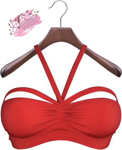 Adda EXCLUSIVE Female  Top Mesh- MAITREYA LARA - Red Color CB collection