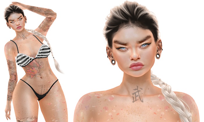 Pachy - Genus Baby Face - Shape Quinn