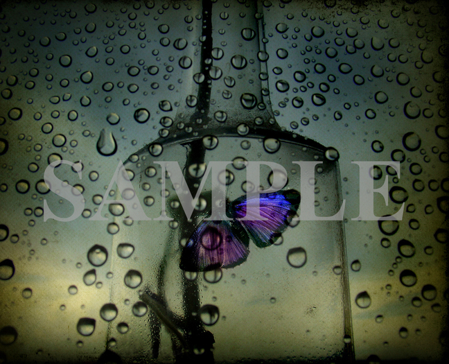 Captured