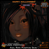 =^.^= Curious Kitties - [Limited Edition] Azil Orchid Skin - Ripe Pumpkin