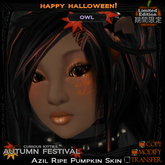 =^.^= Curious Kitties - [Limited Edition] Azil Owl Skin - Ripe Pumpkin