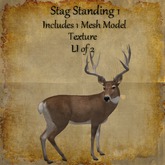 Bad Katz Stag Standing 1