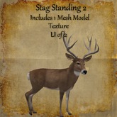 Bad Katz Stag Standing 2