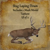 Bad Katz Stag Laying Down