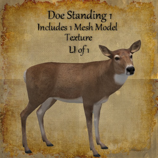 Bad Katz Doe Standing 1