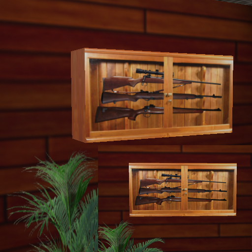 guns in case for on wall